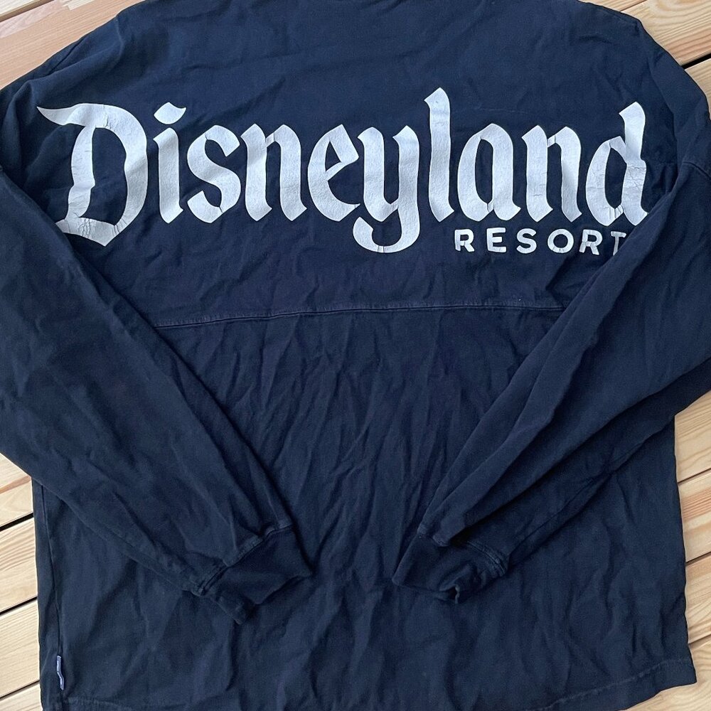 Disneyland Spirit Jersey Blue Large